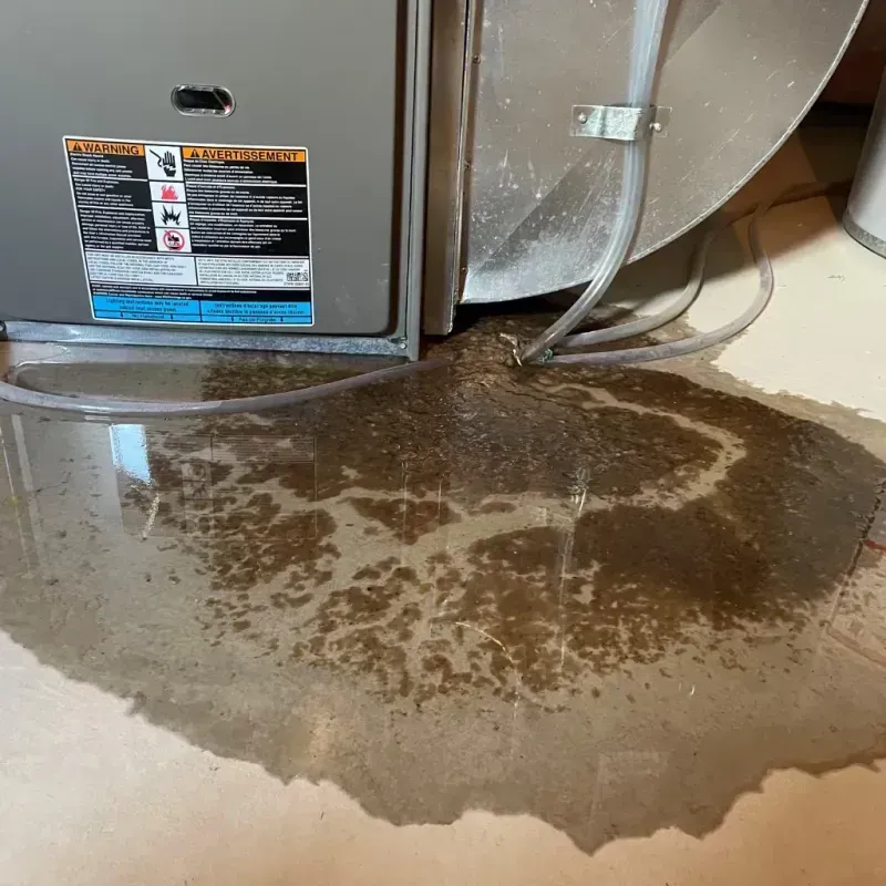 Appliance Leak Cleanup in Rosita North, TX